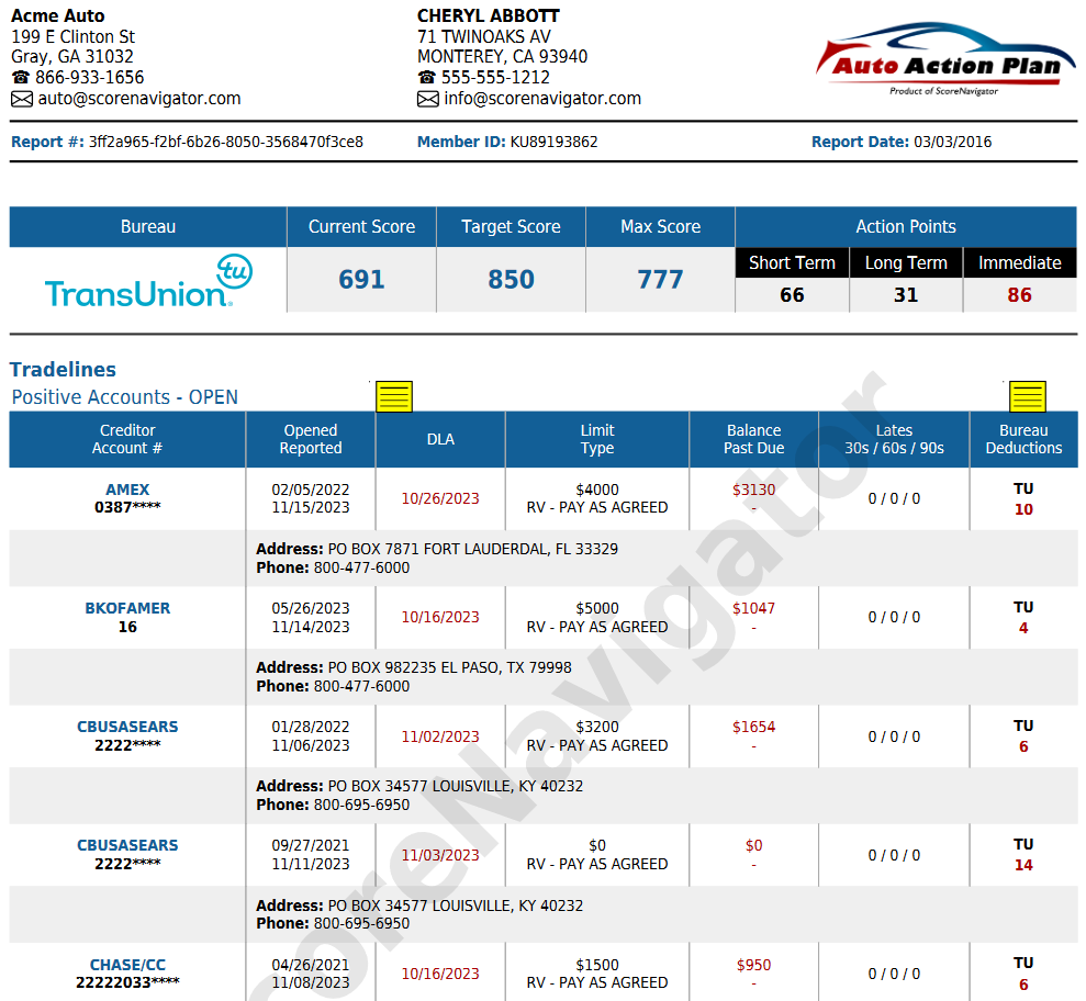 Tradelines Report